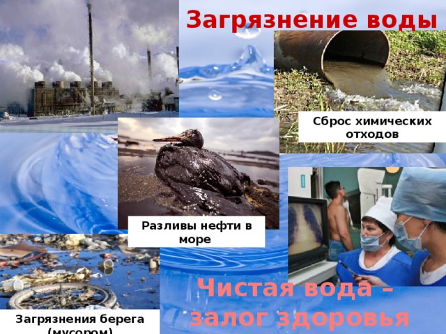 Загрязнение воды Сброс химических отходов Разливы нефти в море Чистая вода – залог здоровья человека! Загрязнения берега (мусором)