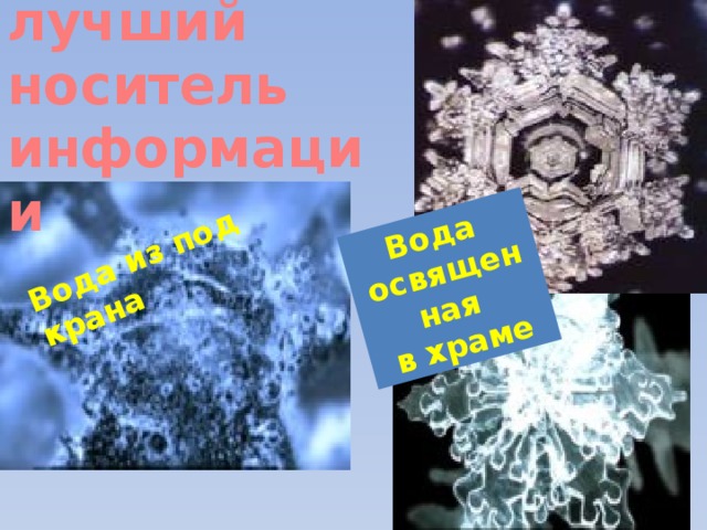 Вода лучший носитель  информации   Вода из под крана Вода освященная в храме