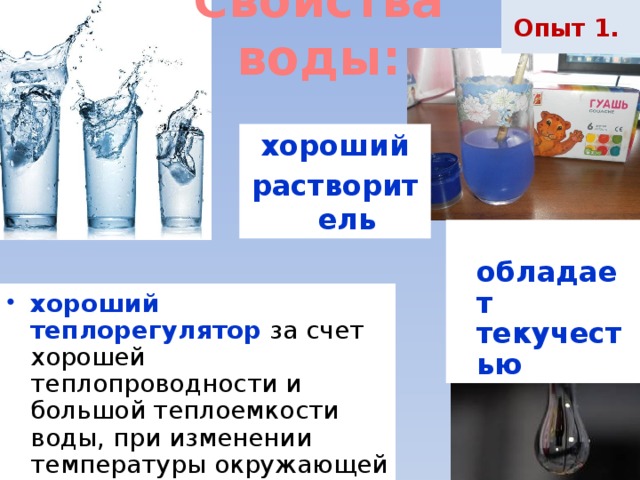 Опыт 1. Свойства воды: хороший растворитель  обладает текучестью