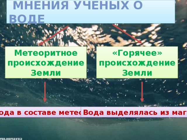 Мнения ученых о воде Метеоритное происхождение Земли «Горячее» происхождение Земли Вода в составе метеорита Вода выделялась из магмы