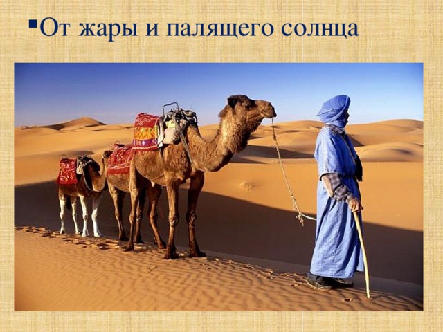 От жары и палящего солнца   