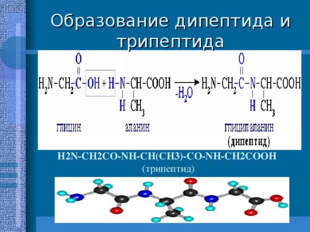 Схема образования дипептида