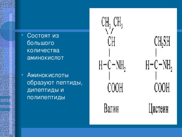 Полипептиды список. Пептиды состоят из аминокислот. Дипептиды полипептиды. Аминокислоты состоят из. Из чего состоят аминокислоты.