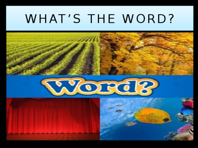 WHAT’S THE WORD? 