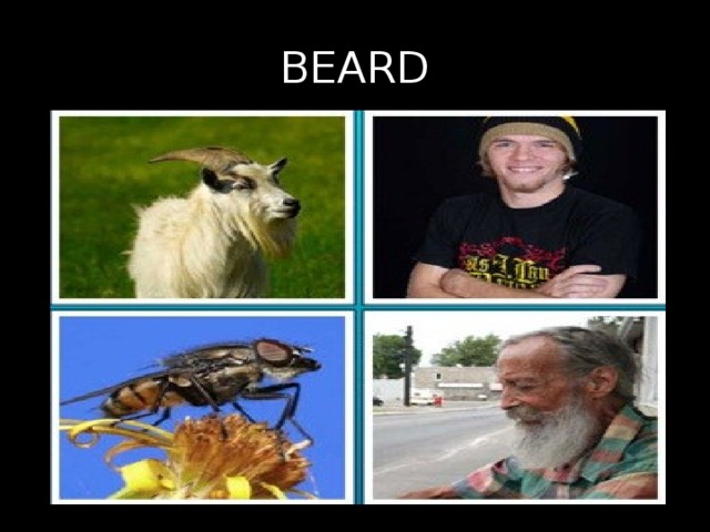 BEARD 