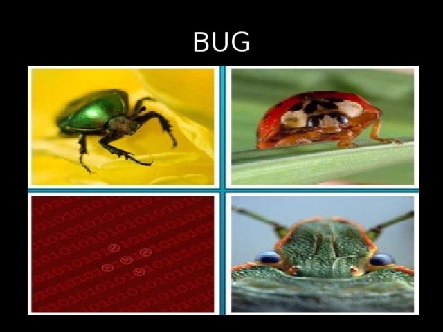 BUG 