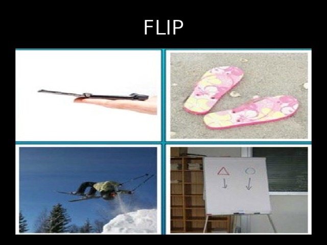 FLIP 
