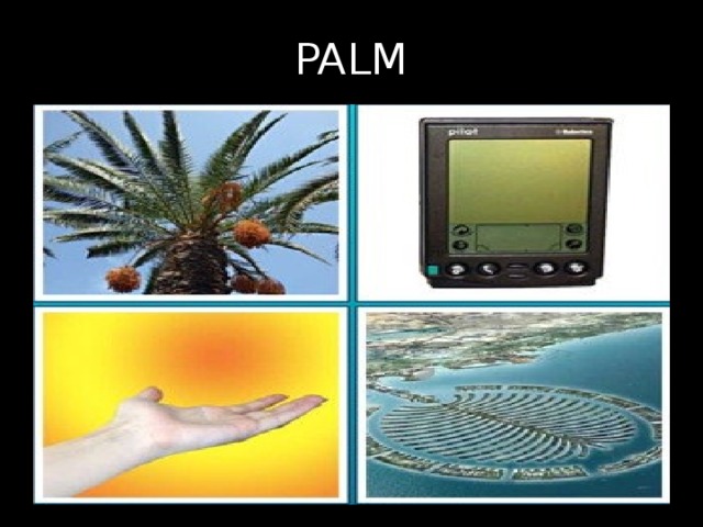 PALM 