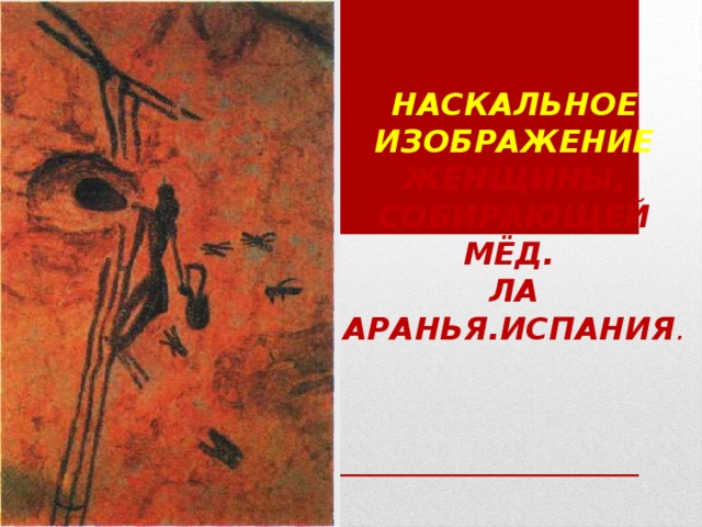 Наскальное изображение  женщины,  собирающей мёд.  Ла Аранья.Испания . 