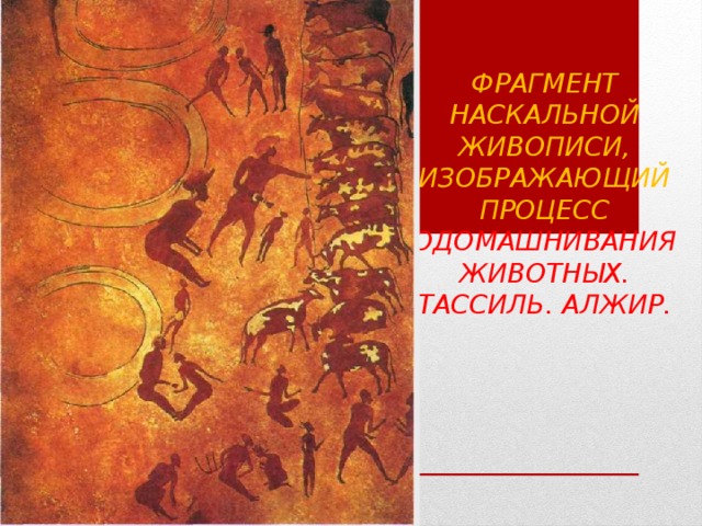 Фрагмент наскальной  живописи,  изображающий  процесс  одомашнивания  животных.  Тассиль. Алжир.   