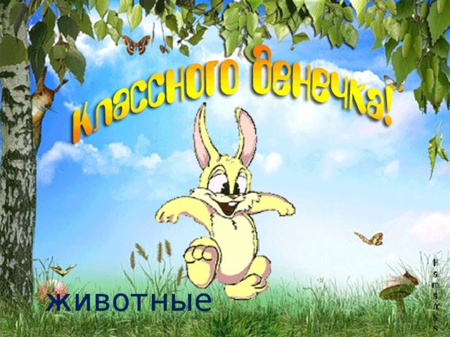животные