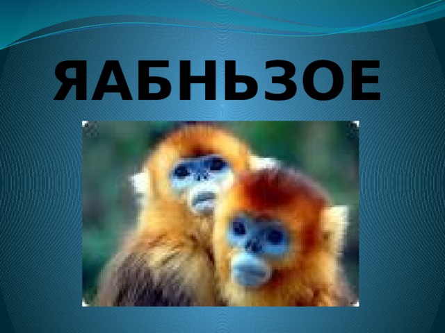 ЯАБНЬЗОЕ