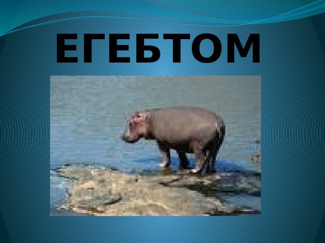 ЕГЕБТОМ