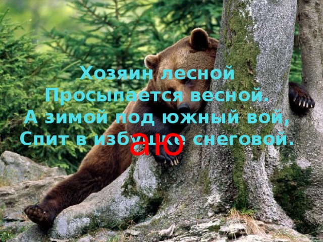 Хозяин лесной  Просыпается весной.  А зимой под южный вой,  Спит в избушке снеговой. аю
