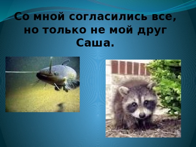 Со мной согласились все, но только не мой друг Саша.