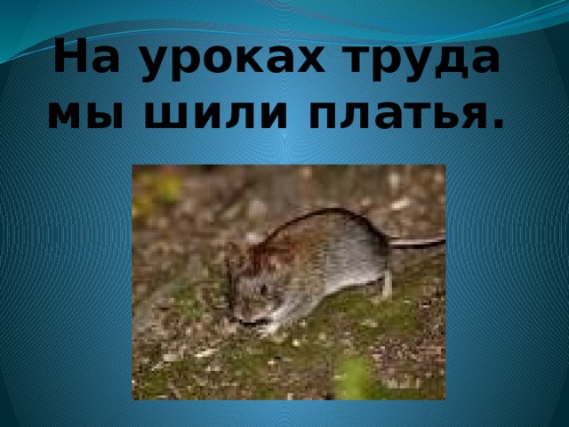 На уроках труда мы шили платья.