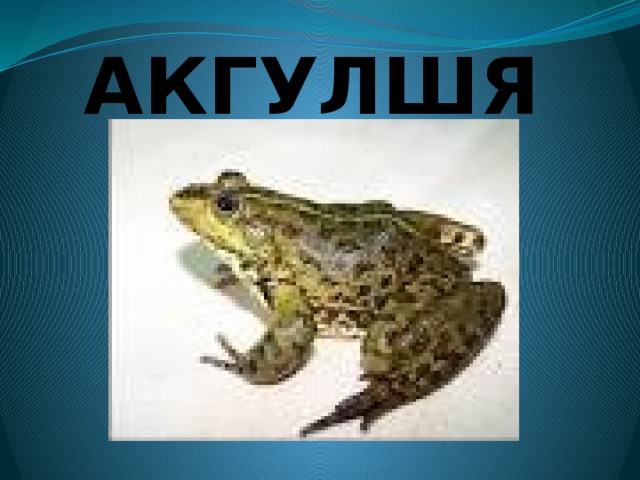 АКГУЛШЯ