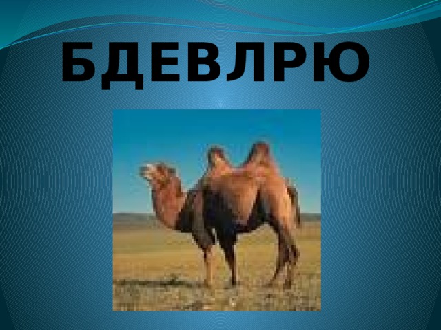 БДЕВЛРЮ