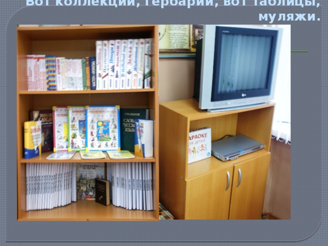 Вот коллекции, гербарий, вот таблицы, муляжи. 