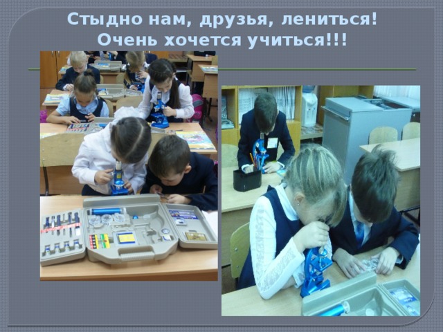 Стыдно нам, друзья, лениться!  Очень хочется учиться!!! 