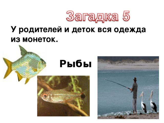 У родителей и деток вся одежда из монеток. Рыбы