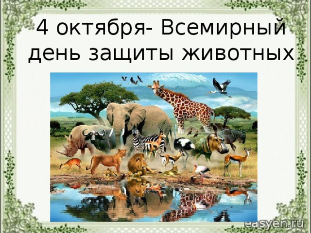 4 октября- Всемирный день защиты животных