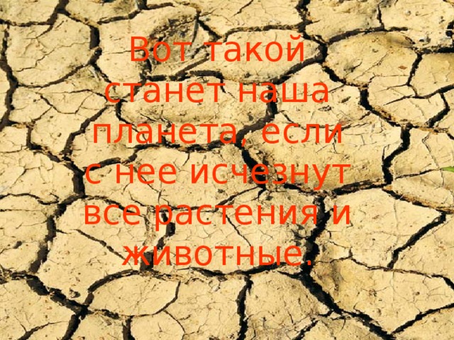 Вот такой станет наша планета, если с нее исчезнут все растения и животные.