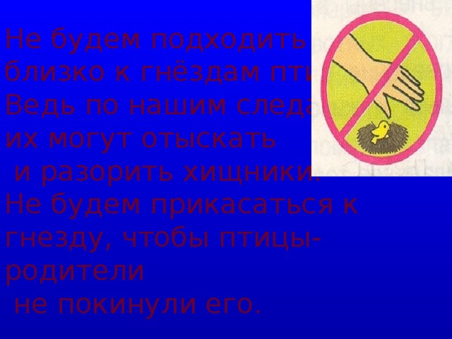 Не будем подходить  близко к гнёздам птиц.  Ведь по нашим следам  их могут отыскать  и разорить хищники.  Не будем прикасаться к гнезду, чтобы птицы-родители  не покинули его.