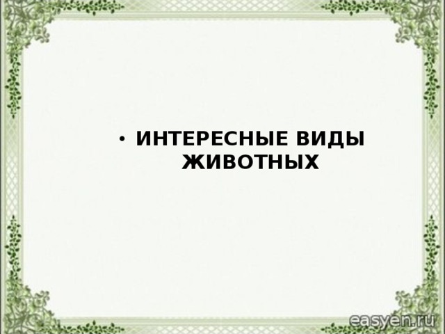 ИНТЕРЕСНЫЕ ВИДЫ ЖИВОТНЫХ