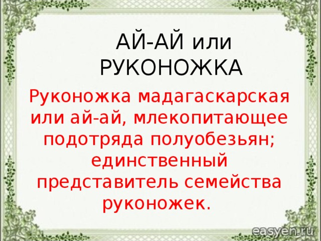 АЙ-АЙ или РУКОНОЖКА Руконожка мадагаскарская или ай-ай, млекопитающее подотряда полуобезьян; единственный представитель семейства руконожек.