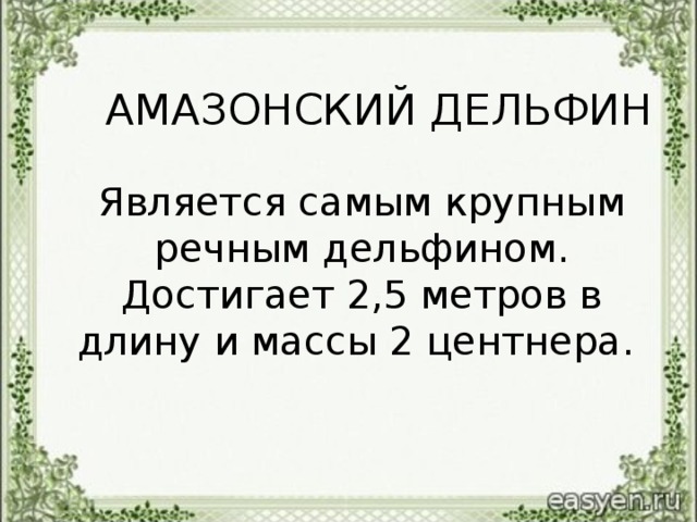 АМАЗОНСКИЙ ДЕЛЬФИН  Является самым крупным речным дельфином. Достигает 2,5 метров в длину и массы 2 центнера.