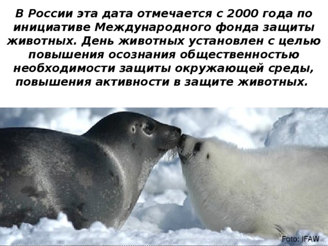 В России эта дата отмечается с 2000 года по инициативе Международного фонда защиты животных. День животных установлен с целью повышения осознания общественностью необходимости защиты окружающей среды, повышения активности в защите животных.