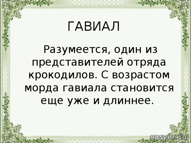 ГАВИАЛ   Разумеется, один из представителей отряда крокодилов. С возрастом морда гавиала становится еще уже и длиннее.