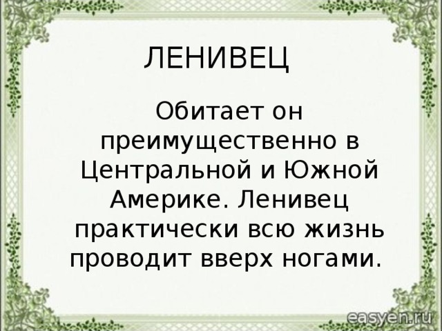 ЛЕНИВЕЦ  Обитает он преимущественно в Центральной и Южной Америке. Ленивец практически всю жизнь проводит вверх ногами.
