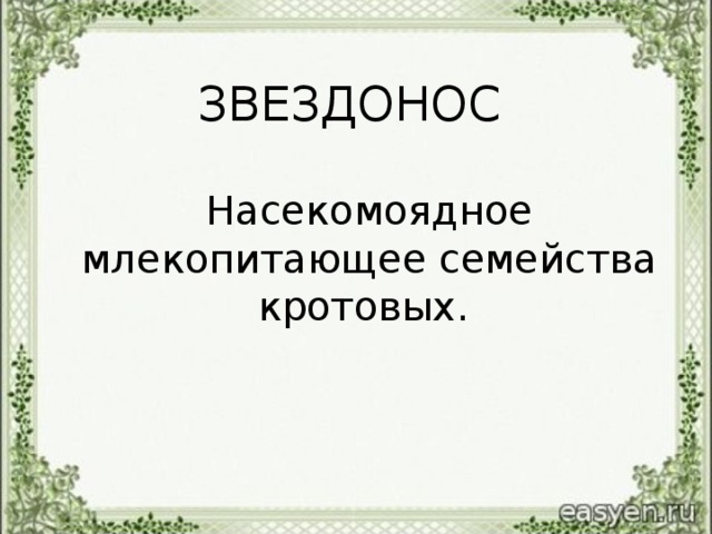 ЗВЕЗДОНОС   Насекомоядное млекопитающее семейства кротовых.
