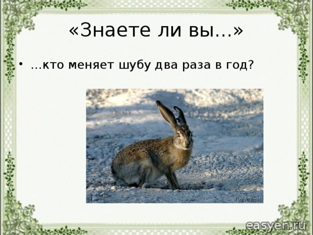 «Знаете ли вы...»