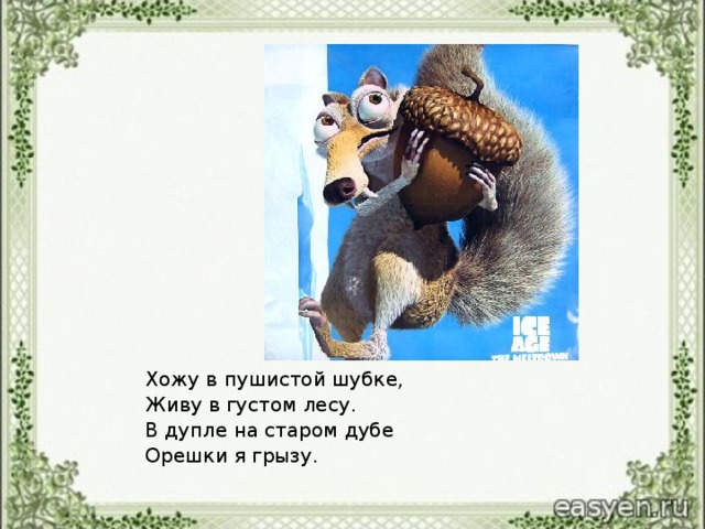 Хожу в пушистой шубке, Живу в густом лесу. В дупле на старом дубе Орешки я грызу.