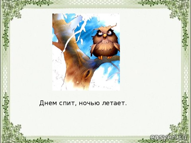 Днем спит, ночью летает.