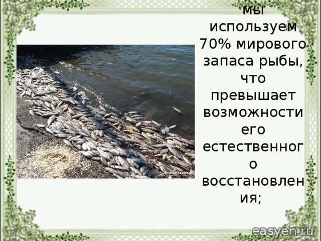 мы используем 70% мирового запаса рыбы, что превышает возможности его естественного восстановления;