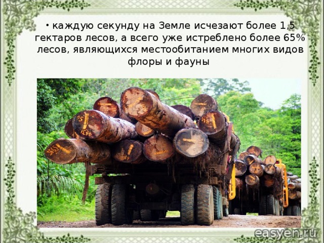 каждую секунду на Земле исчезают более 1,5 гектаров лесов, а всего уже истреблено более 65% лесов, являющихся местообитанием многих видов флоры и фауны