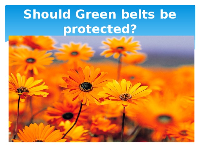 Should Green belts be protected? 