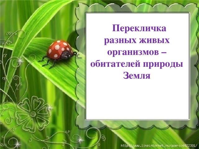  Перекличка разных живых организмов – обитателей природы Земля  