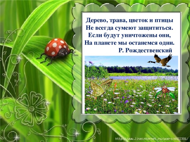 Дерево, трава, цветок и птицы Не всегда сумеют защититься. Если будут уничтожены они, На планете мы останемся одни.  Р. Рождественский 