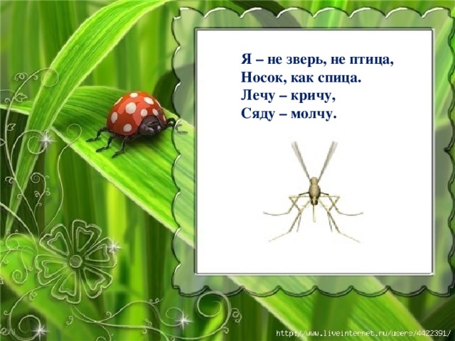 Я – не зверь, не птица, Носок, как спица. Лечу – кричу, Сяду – молчу. Есть одна планета - сад В этом космосе холодном, Только здесь леса шумят, Птиц скликая перелётных, Лишь на ней одной увидишь Ландыши в траве зелёной. И стрекозы только тут В реку смотрят удивлённо. Береги свою планету, Ведь другой на свете нету! 