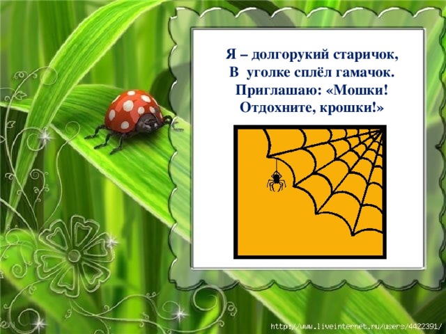 Я – долгорукий старичок, В уголке сплёл гамачок. Приглашаю: «Мошки! Отдохните, крошки!» 