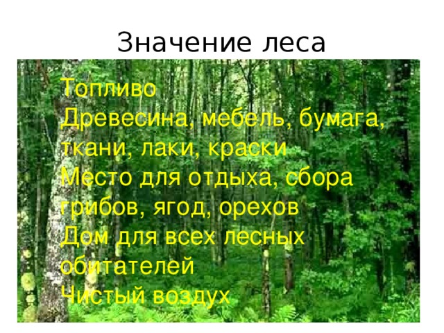 Презентация по окружающему миру для 2 класса "Жизнь леса"