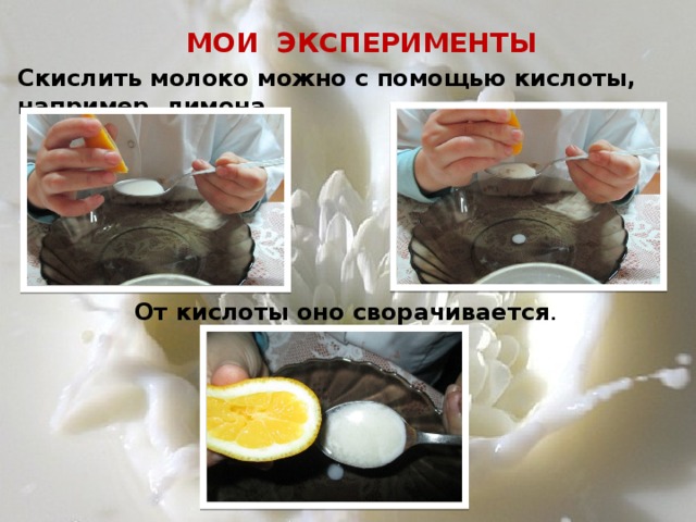 МОИ ЭКСПЕРИМЕНТЫ Скислить молоко можно с помощью кислоты, например, лимона. От кислоты оно сворачивается . 