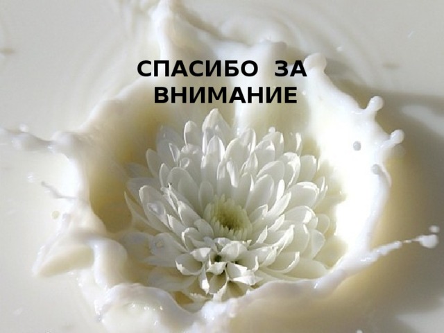СПАСИБО ЗА ВНИМАНИЕ 