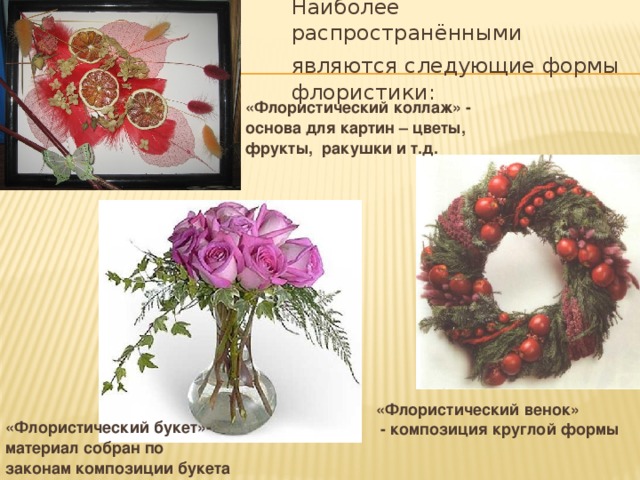 Заключение флористика проект на тему