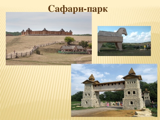 Сафари-парк 